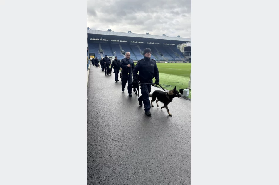 Policjanci szkolili psy służbowe - zdjęcie 4