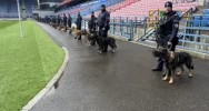 Policjanci szkolili psy służbowe - zdjęcie 5