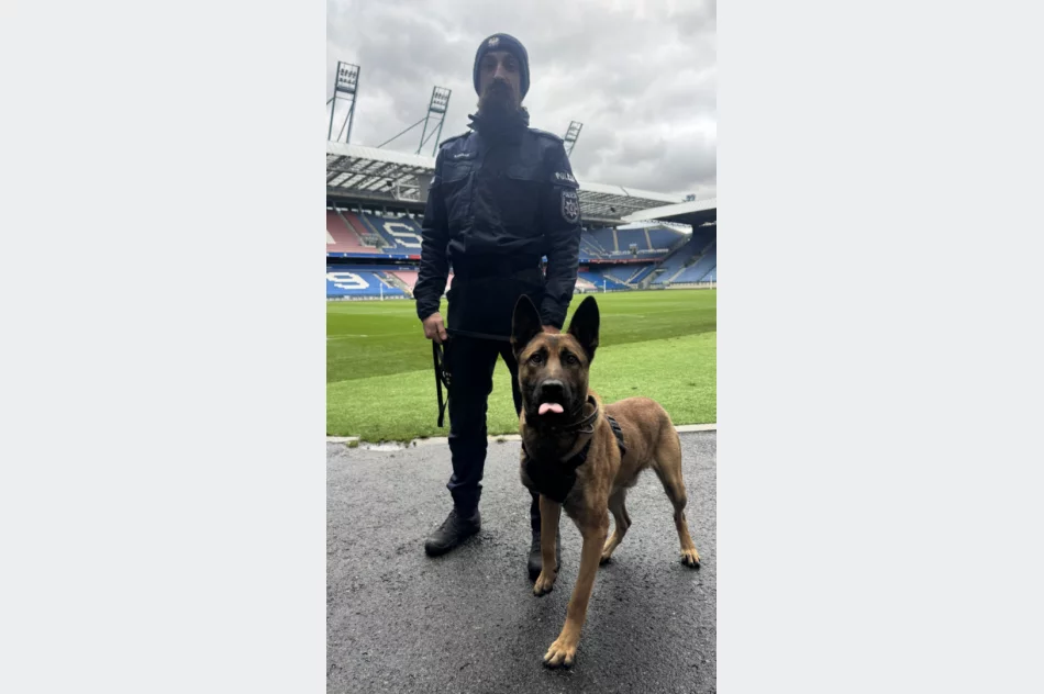 Policjanci szkolili psy służbowe - zdjęcie 6