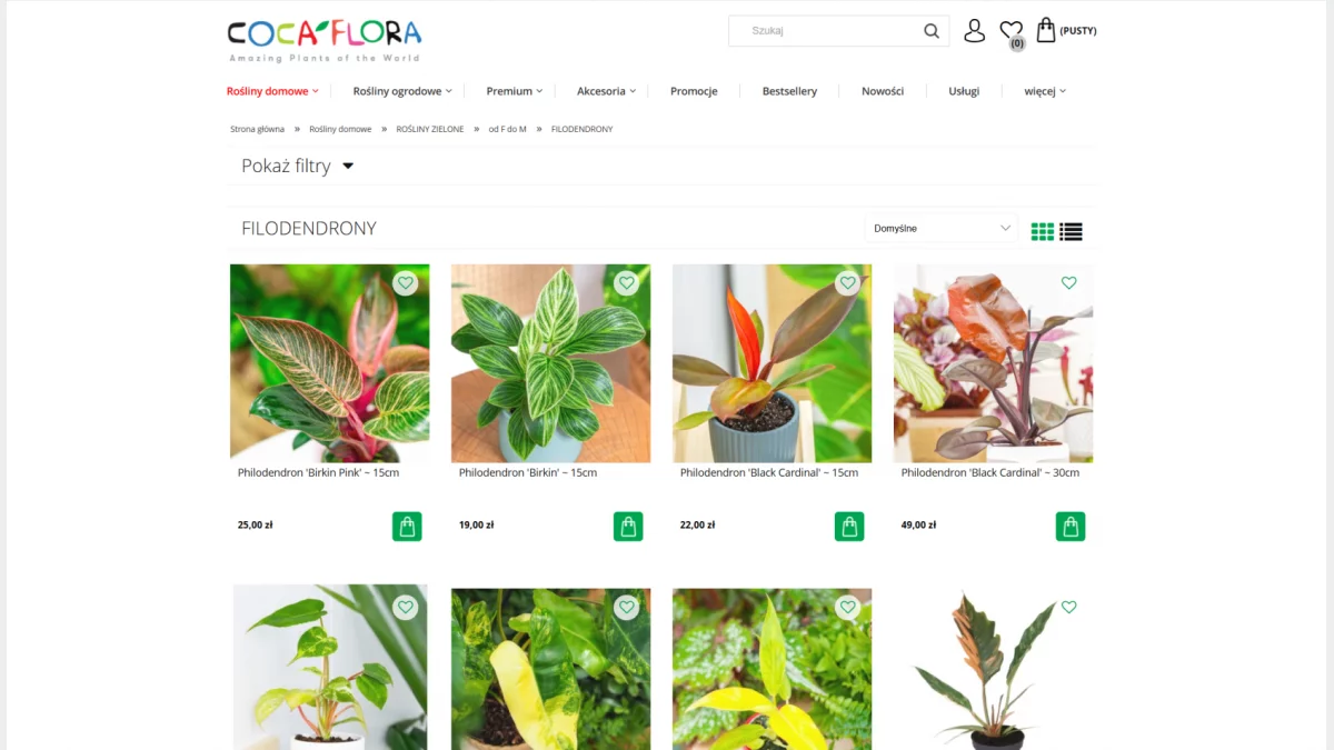 Filodendrony a jakość powietrza w domu - naturalny filtr dla Twojej rodziny