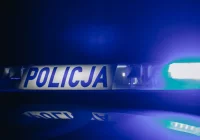 Zatrzymani po kradzieży Audi. Jeden z nich trafił prosto do więzienia - zdjęcie główne