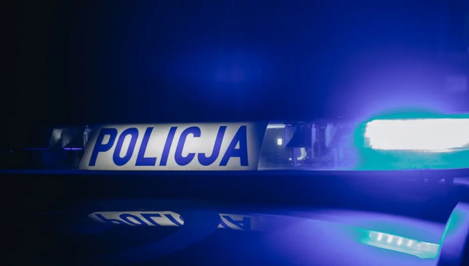 Zatrzymani po kradzieży Audi. Jeden z nich trafił prosto do więzienia - zdjęcie 1