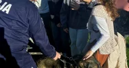 Ósmoklasiści poznali pracę policjantów - zdjęcie 4