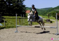 Zawody konne już w najbliższy weekend - zdjęcie główne