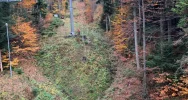 Wysoko nad ziemią: specjalistyczne ćwiczenia strażaków  - zdjęcie 4