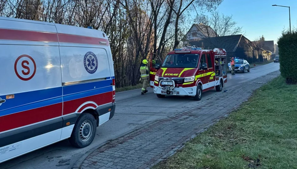 Siedem kolizji na drogach powiatu - zdjęcie 1