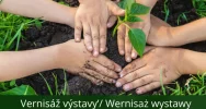 Polsko-słowacki wernisaż w limanowskiej galerii - zdjęcie 2