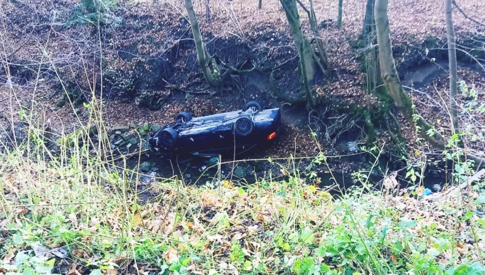 Groźnie wyglądające dachowanie w korycie rzeki - zdjęcie 1