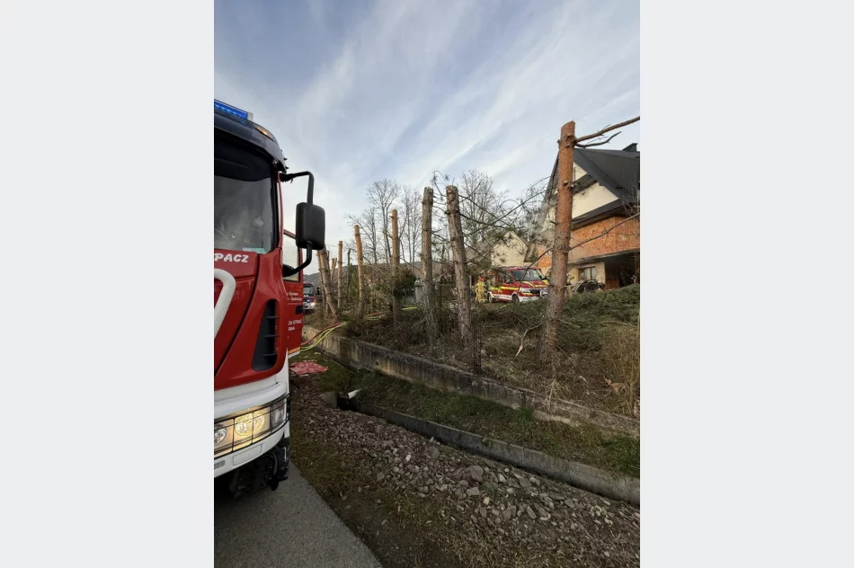 Pożar garażu - w akcji 24 strażaków - zdjęcie 2