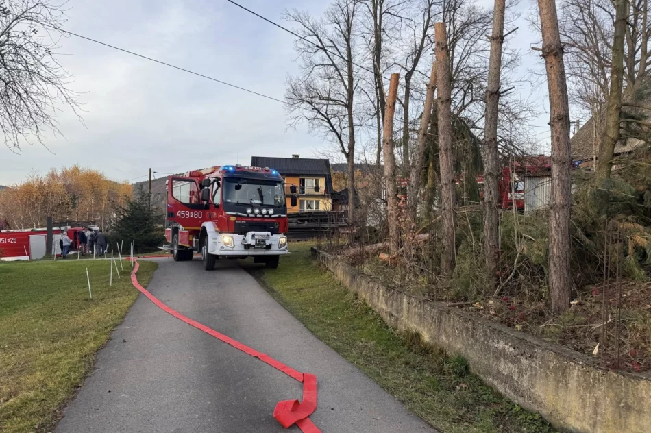Pożar garażu - w akcji 24 strażaków - zdjęcie 5