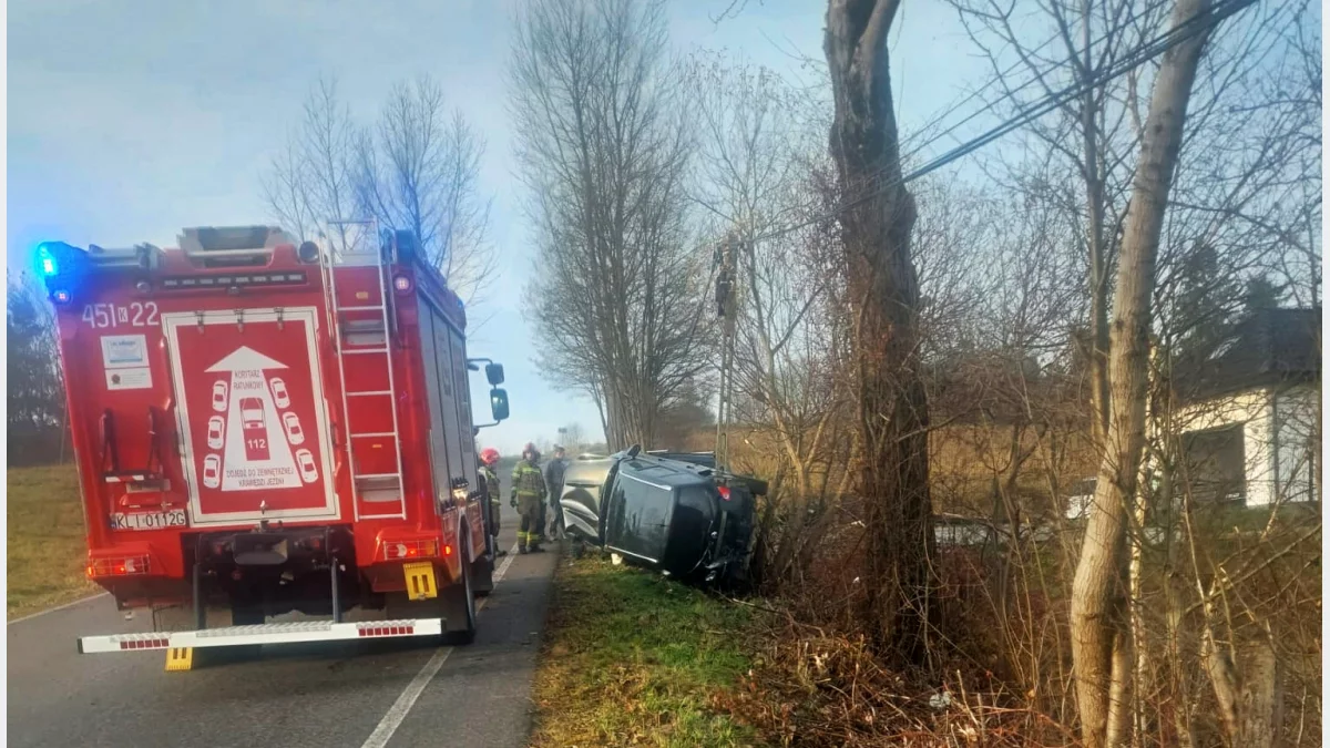 Auto uderzyło w ogrodzenie i słup