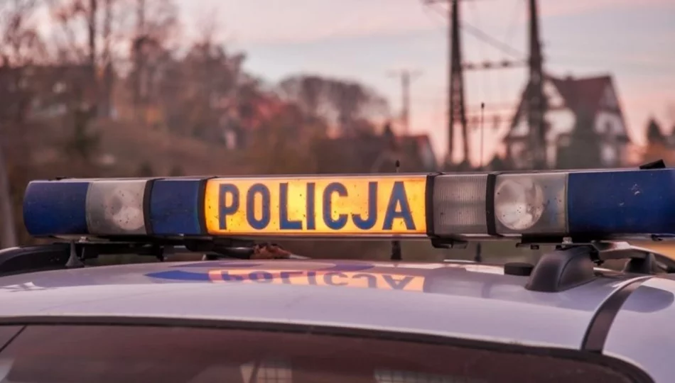 Trzy kolizje na drogach powiatu - zdjęcie 1