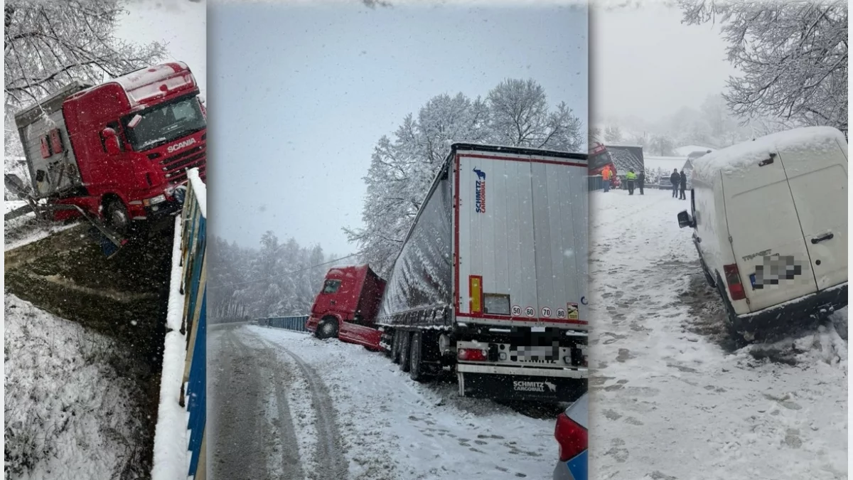 Dwa nietypowe zdarzenia w Pogorzanach/fot.: KPP Limanowa