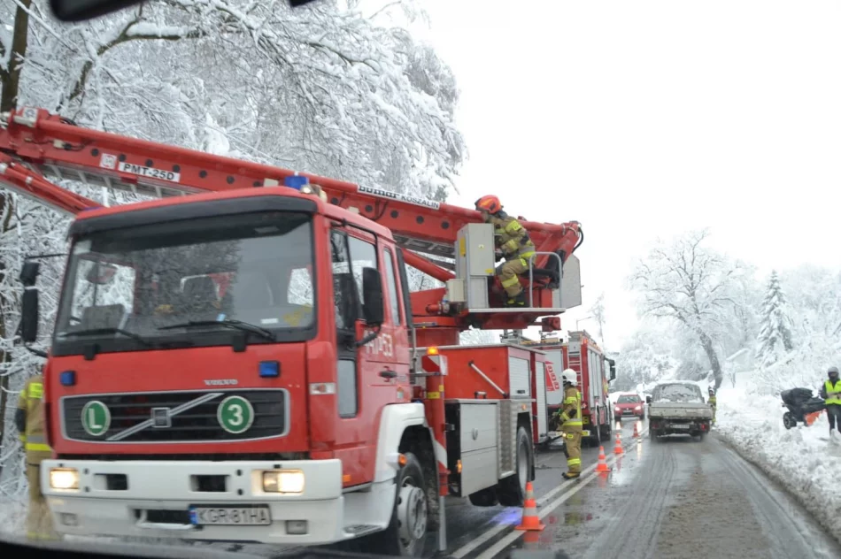 Małopolska: Ponad 700 interwencji strażaków po śnieżycy - zdjęcie 3