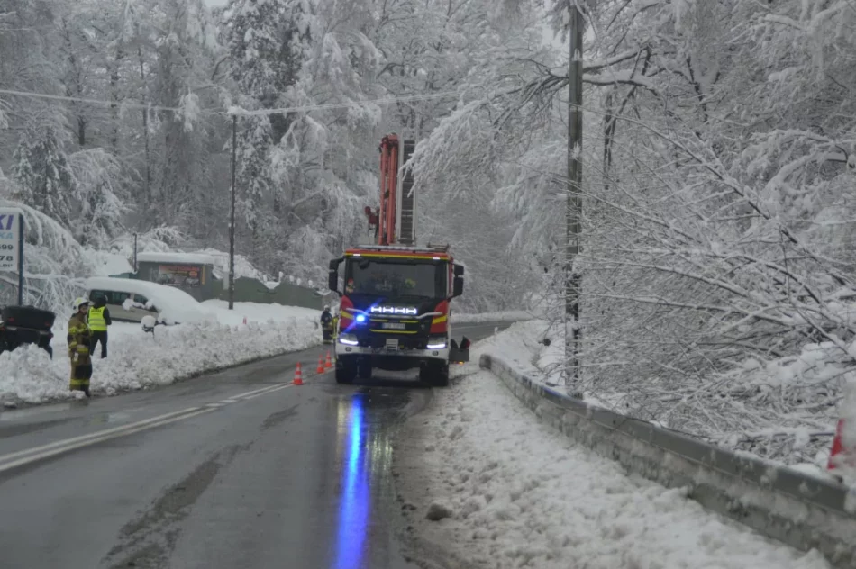 Małopolska: Ponad 700 interwencji strażaków po śnieżycy - zdjęcie 4