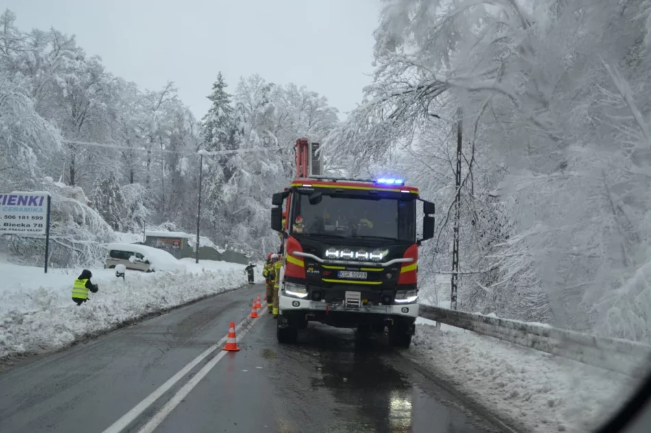 Małopolska: Ponad 700 interwencji strażaków po śnieżycy - zdjęcie 5
