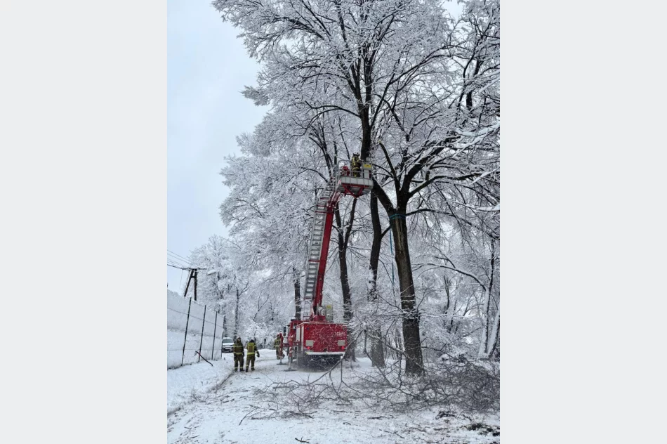 Małopolska: Ponad 700 interwencji strażaków po śnieżycy - zdjęcie 8