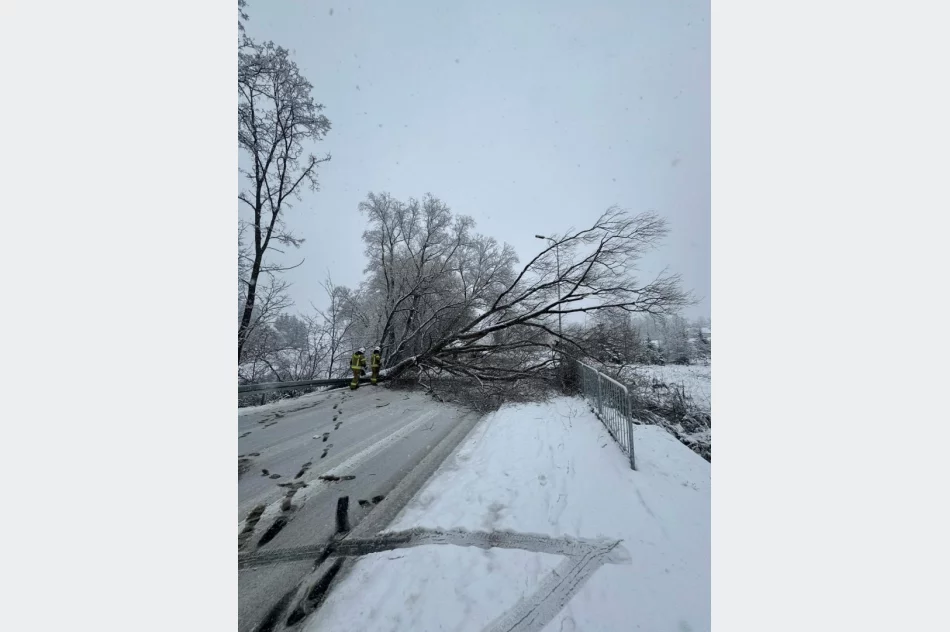Małopolska: Ponad 700 interwencji strażaków po śnieżycy - zdjęcie 9
