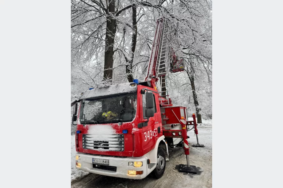 Małopolska: Ponad 700 interwencji strażaków po śnieżycy - zdjęcie 11