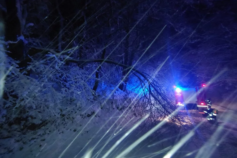 Małopolska: Ponad 700 interwencji strażaków po śnieżycy - zdjęcie 12