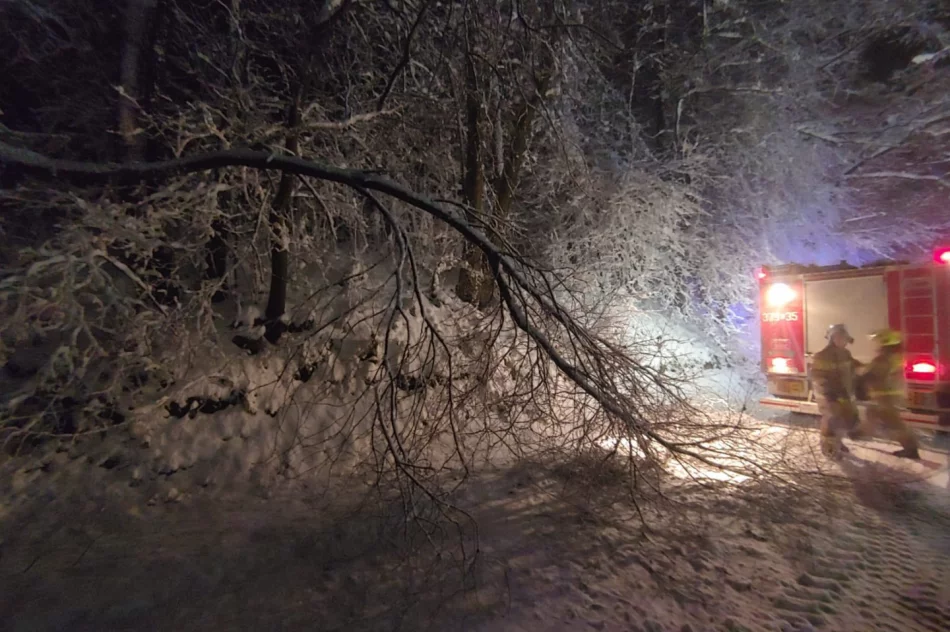 Małopolska: Ponad 700 interwencji strażaków po śnieżycy - zdjęcie 13