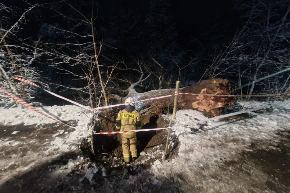Małopolska: Ponad 700 interwencji strażaków po śnieżycy - zdjęcie 14