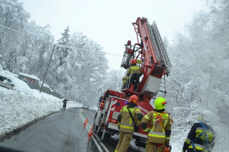 Małopolska: Ponad 700 interwencji strażaków po śnieżycy - zdjęcie 16