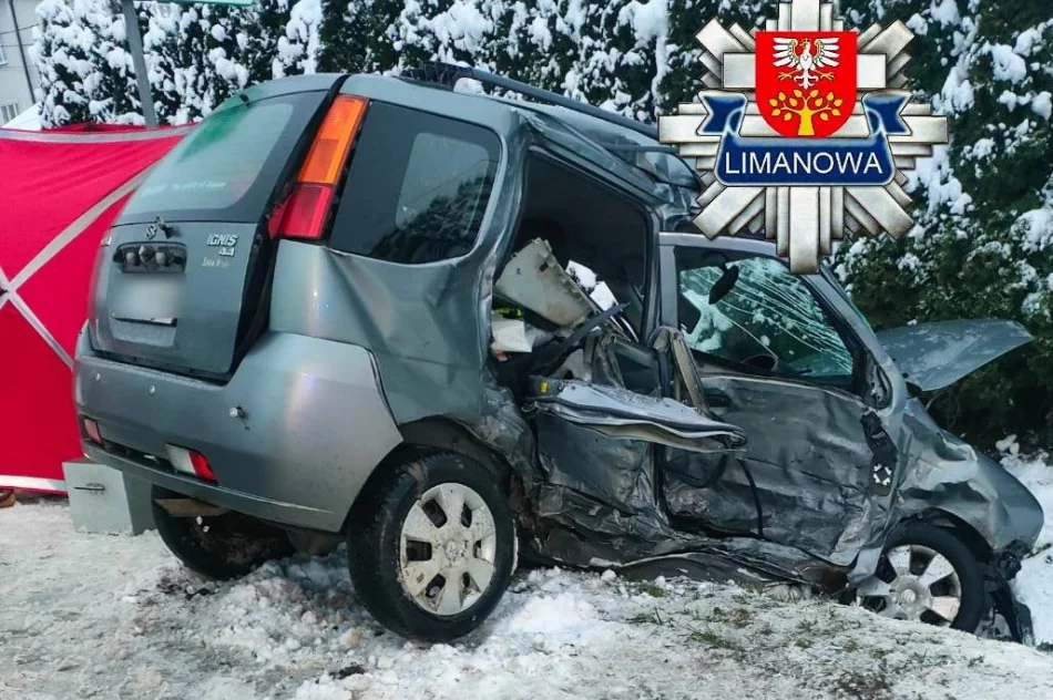 Wstępne ustalenia policji w sprawie tragicznego wypadku - zdjęcie 6