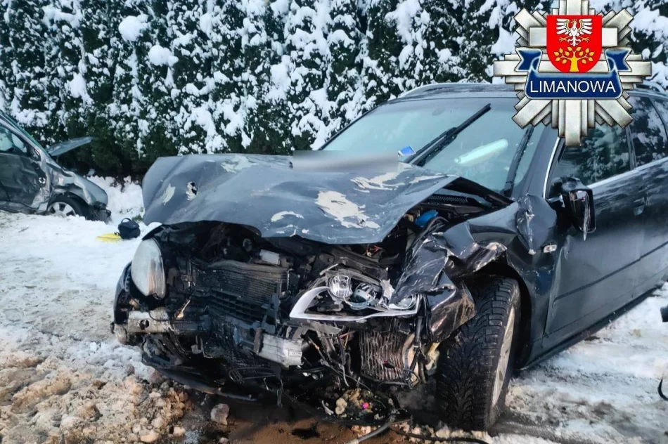 Wstępne ustalenia policji w sprawie tragicznego wypadku - zdjęcie 7