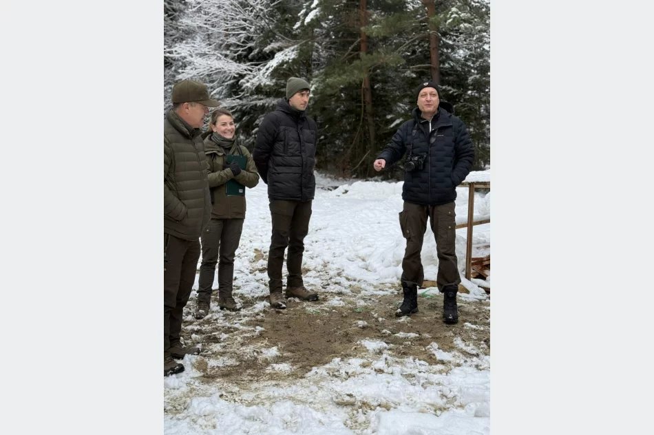 Wieża będzie służyć nietoperzom - zdjęcie 8