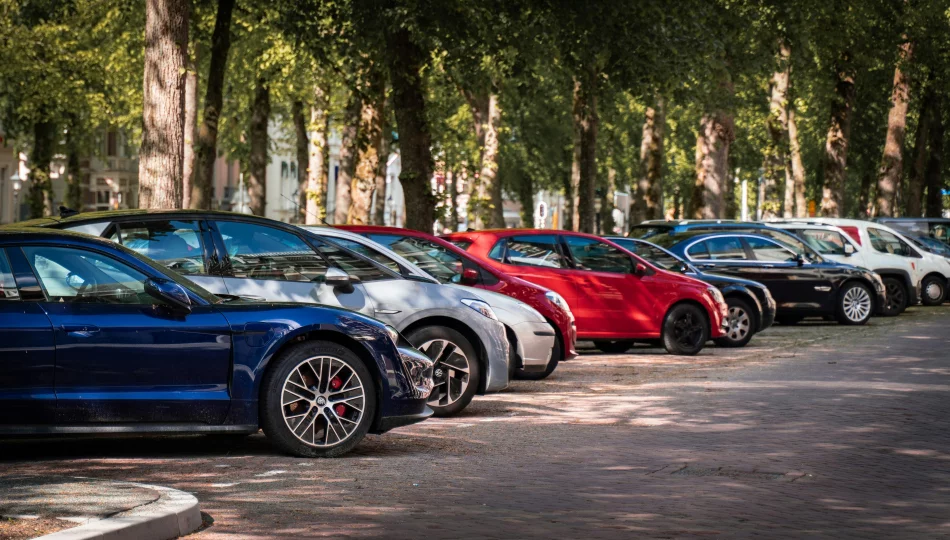 Gdzie i dlaczego warto stosować ogranicznik parkingowy? - zdjęcie 1