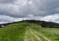 Zmiany w sprzedaży biletów do GPN  - zdjęcie główne