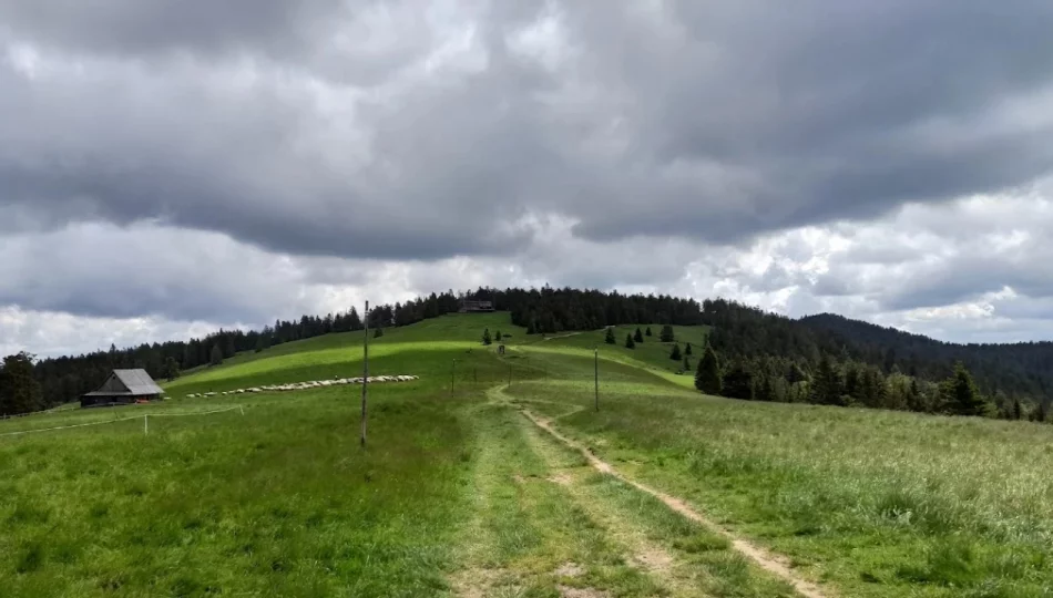 Zmiany w sprzedaży biletów do GPN  - zdjęcie 1