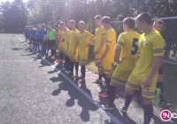 Sokół wypunktowany, Limanovia coraz wyżej - zdjęcie główne