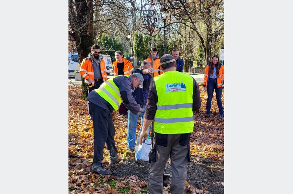 Mają posadzić tysiące drzew i krzewów przy linii kolejowej Podłęże–Piekiełko - zdjęcie 2