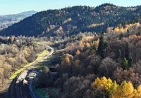 Mają posadzić tysiące drzew i krzewów przy linii kolejowej Podłęże–Piekiełko - zdjęcie główne