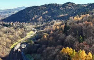 Mają posadzić tysiące drzew i krzewów przy linii kolejowej Podłęże–Piekiełko - zdjęcie główne