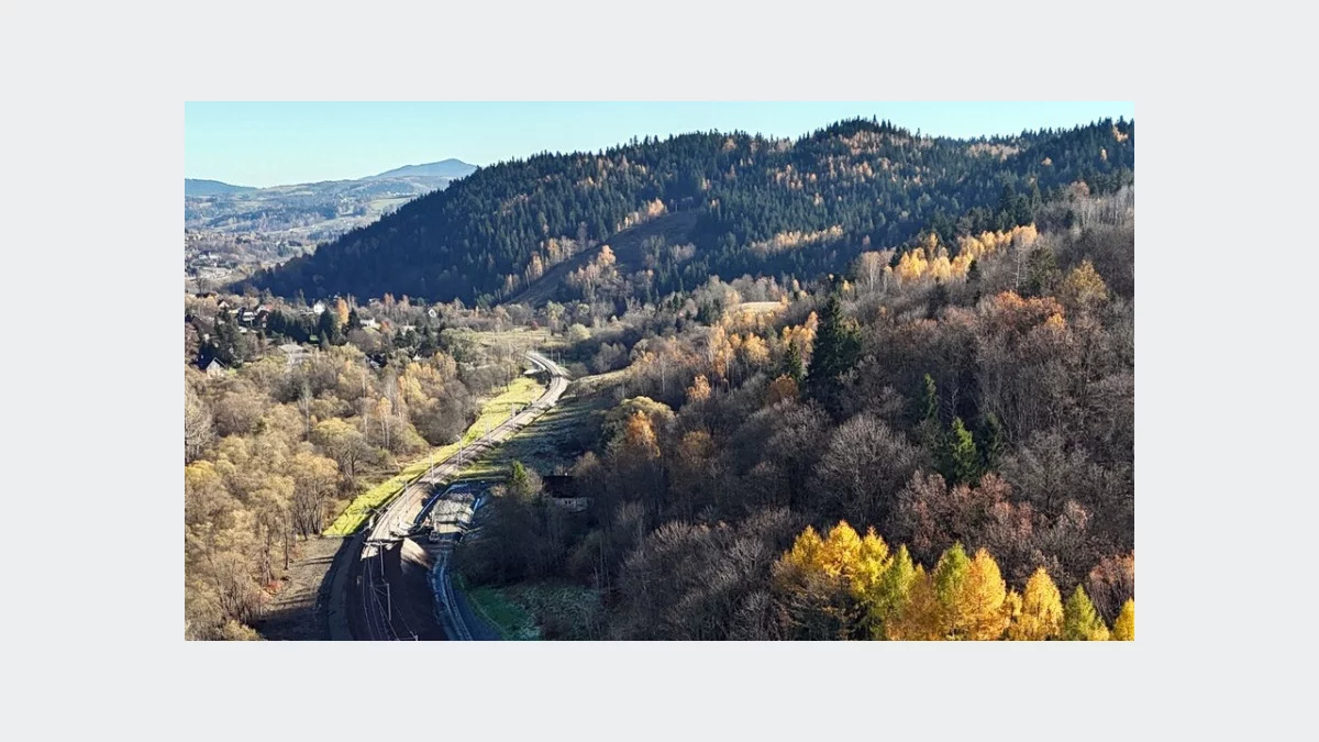 Mają posadzić tysiące drzew i krzewów przy linii kolejowej Podłęże–Piekiełko