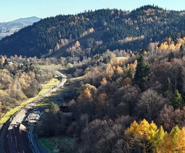 Mają posadzić tysiące drzew i krzewów przy linii kolejowej Podłęże–Piekiełko - zdjęcie główne