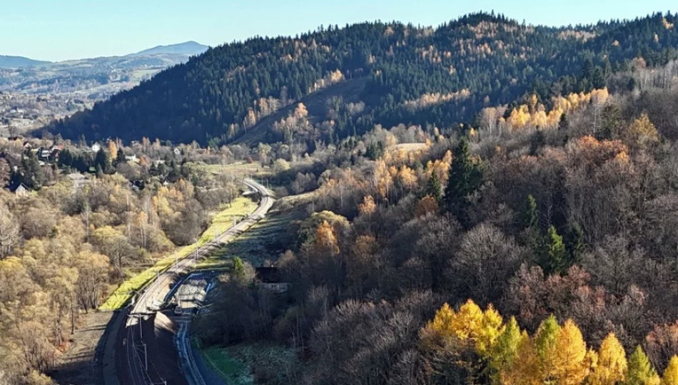 Mają posadzić tysiące drzew i krzewów przy linii kolejowej Podłęże–Piekiełko - zdjęcie 1