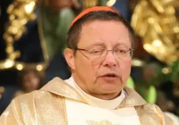 Kard. Ryś o komisji ds. nadużyć: mam wystarczająco dużo determinacji, by komisja powstała też w Krakowie - zdjęcie główne