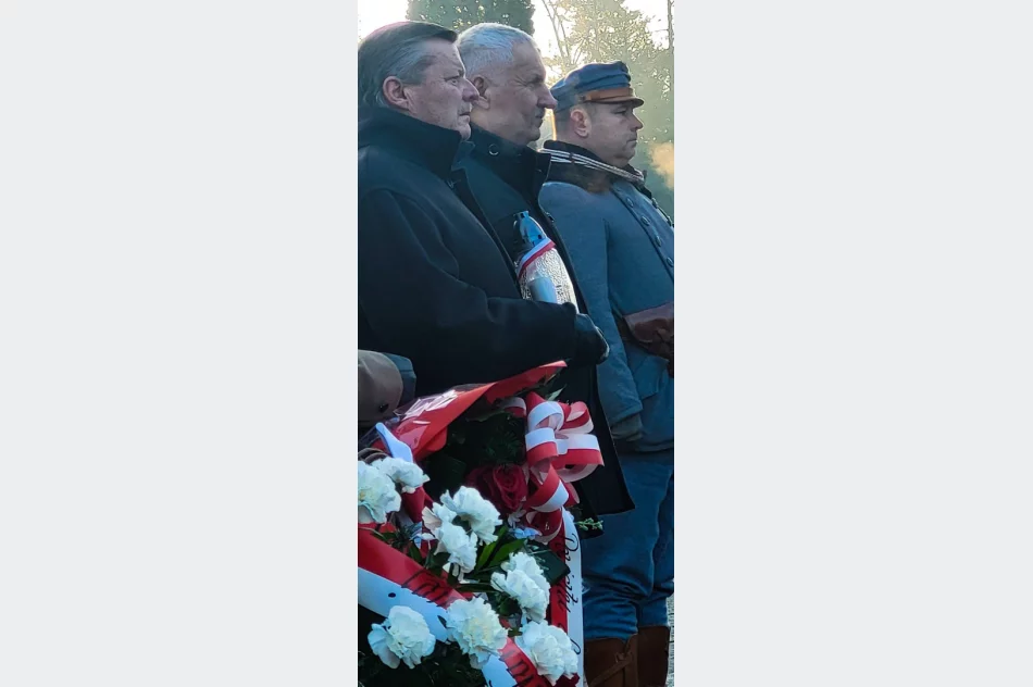 Obchody 111. rocznicy Bitwy Limanowskiej na limanowskim cmentarzu - zdjęcie 3