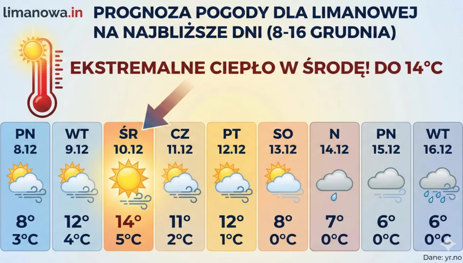 Wiosna zimą w Limanowej. Nawet 14 stopni w środku grudnia! Zima w całkowitym odwrocie - zdjęcie 1