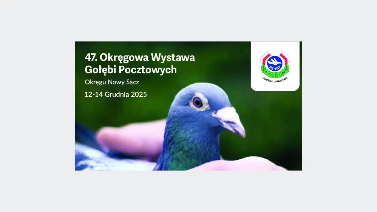 Już w najbliższy weekend zapraszamy na 47. Okręgową Wystawę Gołębi Pocztowych Okręgu Nowy Sącz PASZOMIX