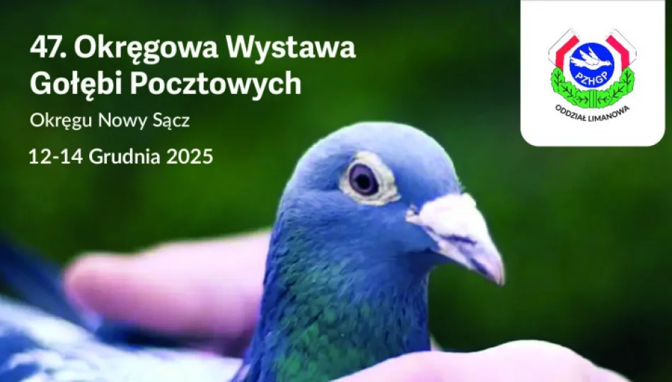 Już w najbliższy weekend zapraszamy na 47. Okręgową Wystawę Gołębi Pocztowych Okręgu Nowy Sącz PASZOMIX - zdjęcie 1