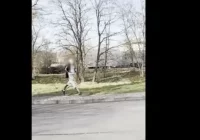 Policja opublikowała nagranie ze śmiertelnej interwencji w Myślenicach - zdjęcie główne