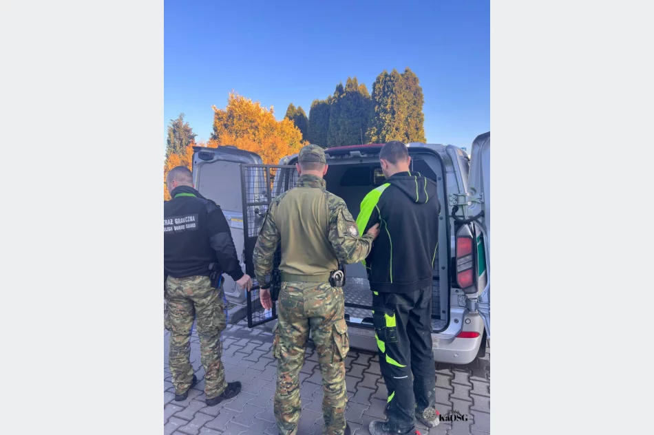 Deportacja po wyroku. 20-latek opuścił Polskę - zdjęcie 2