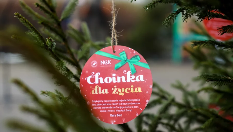 Choinka za oddanie krwi  - zdjęcie 1