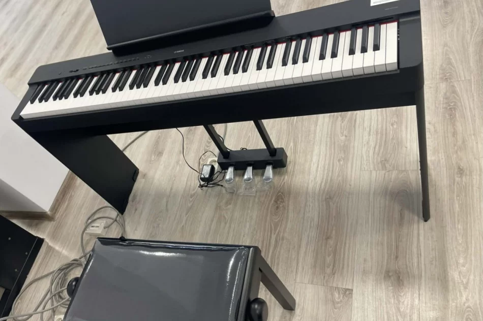 Nowe instrumenty w Limanowskim Domu Kultury - zdjęcie 2