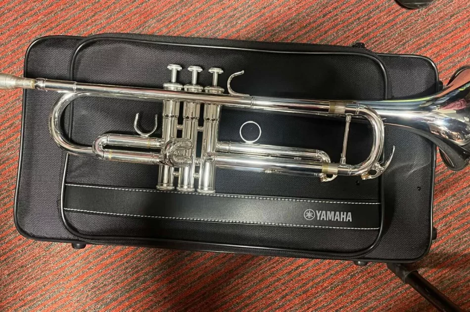 Nowe instrumenty w Limanowskim Domu Kultury - zdjęcie 5